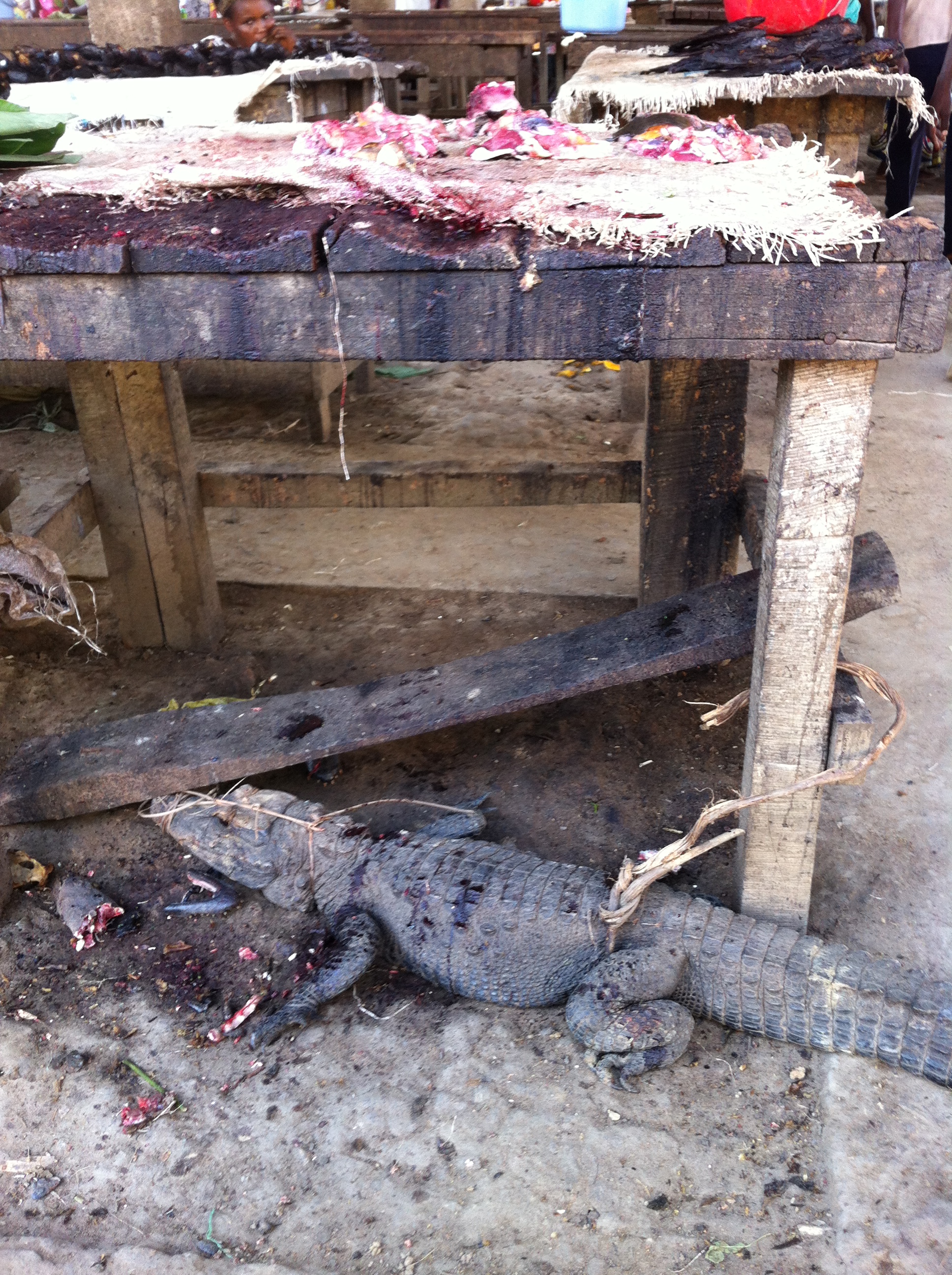 Crocodile for sale at Meat market
