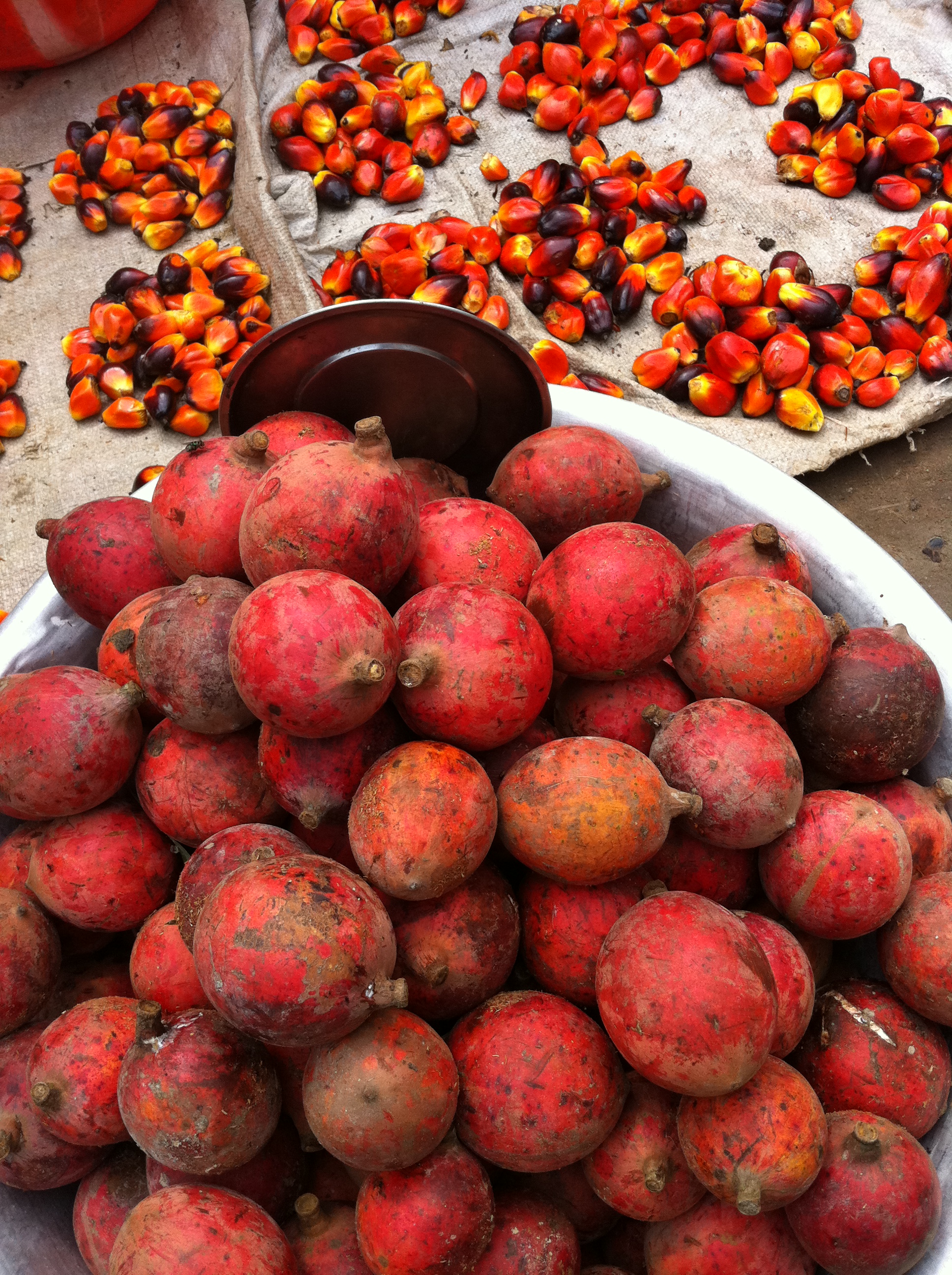 Palm oil nuts and fruits